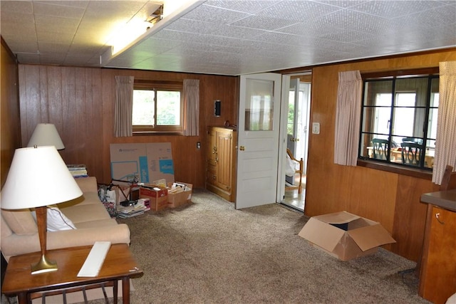 229 Everclay Dr, Greece, NY 14616 - living area featuring carpet flooring and wood walls