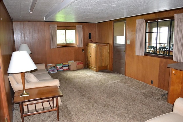 229 Everclay Dr, Greece, NY 14616 - living area featuring carpet and wooden walls