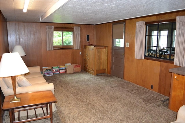 229 Everclay Dr, Greece, NY 14616 - sitting room with carpet floors and wooden walls