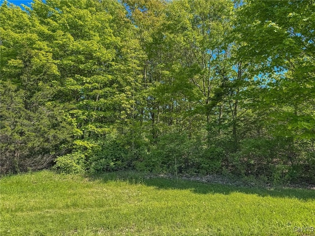 15278 Heritage Dr, Clayton, NY 13624 - photo 1