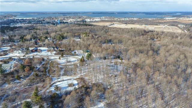 15278 Heritage Dr, Clayton, NY 13624 - photo 31