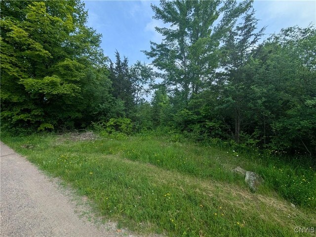 15278 Heritage Dr, Clayton, NY 13624 - photo 3