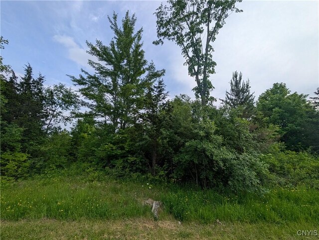 15278 Heritage Dr, Clayton, NY 13624 - photo 5
