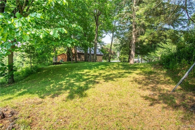 29591 Coon Bridge Rd, Theresa, NY 13691 - view of green lawn