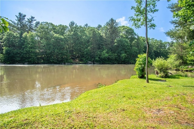 29591 Coon Bridge Rd, Theresa, NY 13691 - water view with a forest