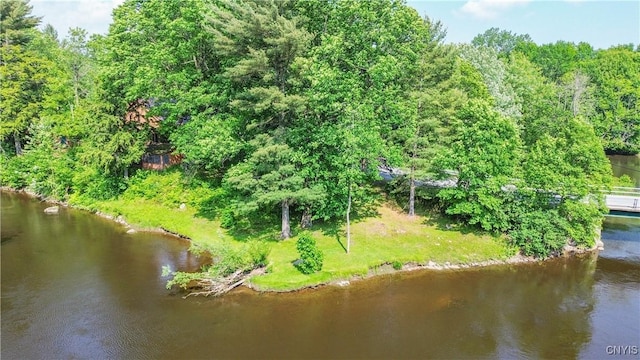 29591 Coon Bridge Rd, Theresa, NY 13691 - bird's eye view of a large body of water