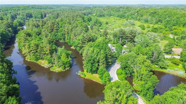 29591 Coon Bridge Rd, Theresa, NY 13691 - bird's eye view of a forest and a nearby body of water