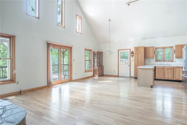 29591 Coon Bridge Rd, Theresa, NY 13691 - unfurnished living room featuring high vaulted ceiling and light wood-type flooring