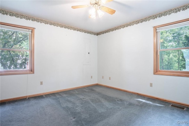 29591 Coon Bridge Rd, Theresa, NY 13691 - carpeted spare room featuring healthy amount of natural light and ceiling fan