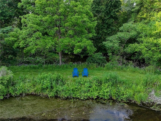 1544 Paddy Ln, Macedon, NY 14502 - view of yard