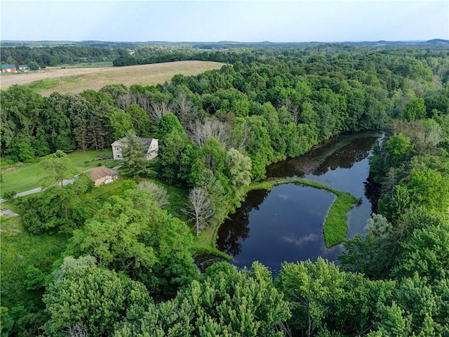 1544 Paddy Ln, Macedon, NY 14502 - aerial view of property's location with a heavily wooded area and a nearby body of water