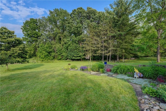 1544 Paddy Ln, Macedon, NY 14502 - view of green lawn