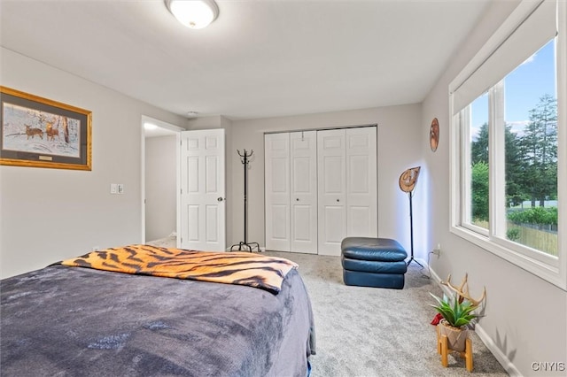 101 Post Lamp Cir, Cicero, NY 13212 - carpeted bedroom featuring multiple windows and a closet