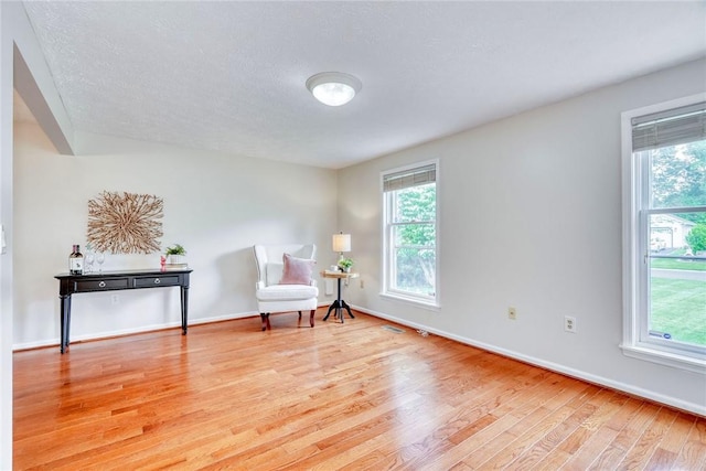 731 Brookeville Dr, Webster, NY 14580 - sitting room with light wood-style flooring, healthy amount of natural light, and a textured ceiling