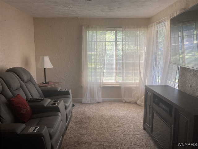 1 Grandview Ter, Batavia City, NY 14020 - photo 13