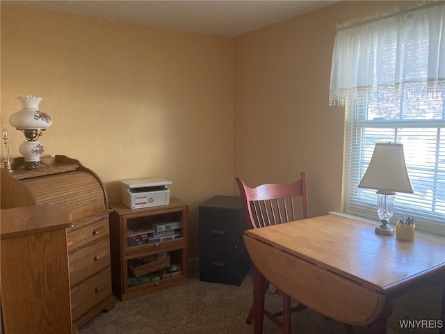 1 Grandview Ter, Batavia City, NY 14020 - photo 19