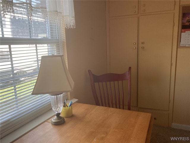1 Grandview Ter, Batavia City, NY 14020 - photo 20