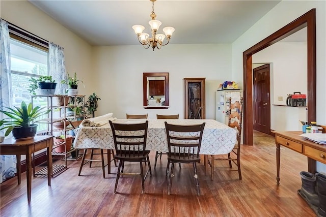 4618 Oak Orchard Rd, Barre, NY 14411 - dining space with a chandelier and wood finished floors
