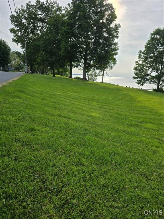 124 Seneca Ave, Sullivan, NY 13032 - view of green lawn