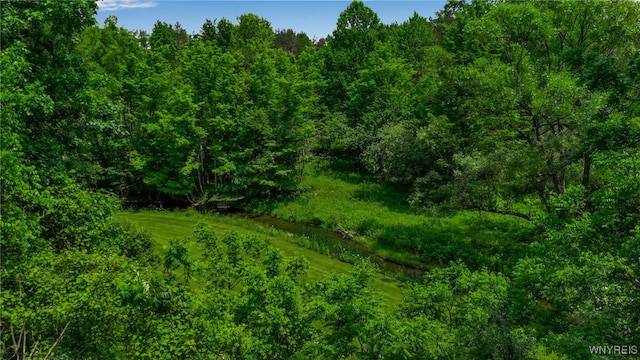 2565 Bowen Rd, Elma, NY 14059 - view of woods