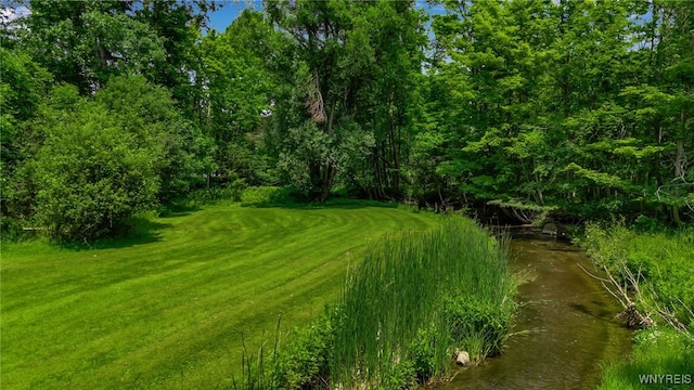 2565 Bowen Rd, Elma, NY 14059 - view of grassy yard