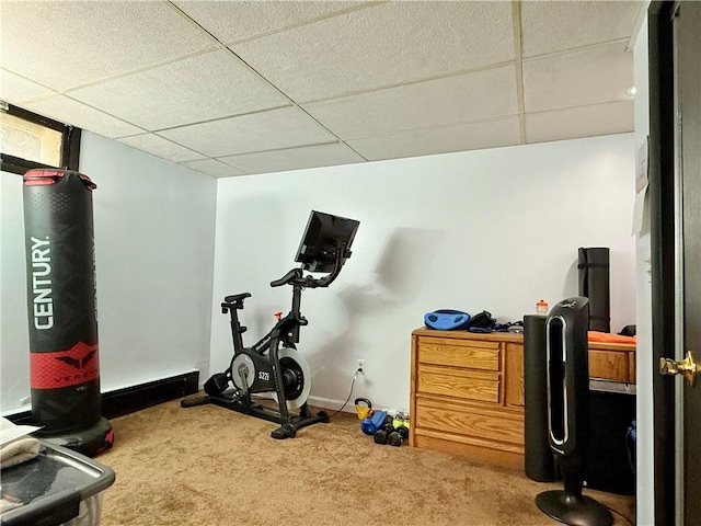 3 Suncrest Ter, Oneonta-City, NY 13820 - exercise area featuring a paneled ceiling and carpet