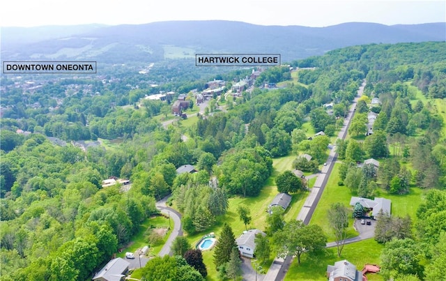 3 Suncrest Ter, Oneonta-City, NY 13820 - bird's eye view of mountains and a forest