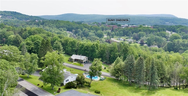 3 Suncrest Ter, Oneonta-City, NY 13820 - drone / aerial view of mountains