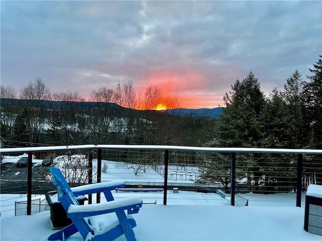 3 Suncrest Ter, Oneonta-City, NY 13820 - view of snow covered back of property