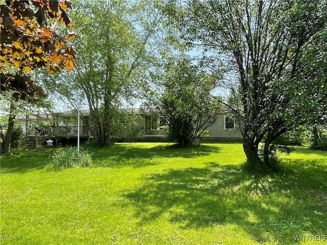 9973 Genesee Rd, Concord, NY 14055 - photo 4