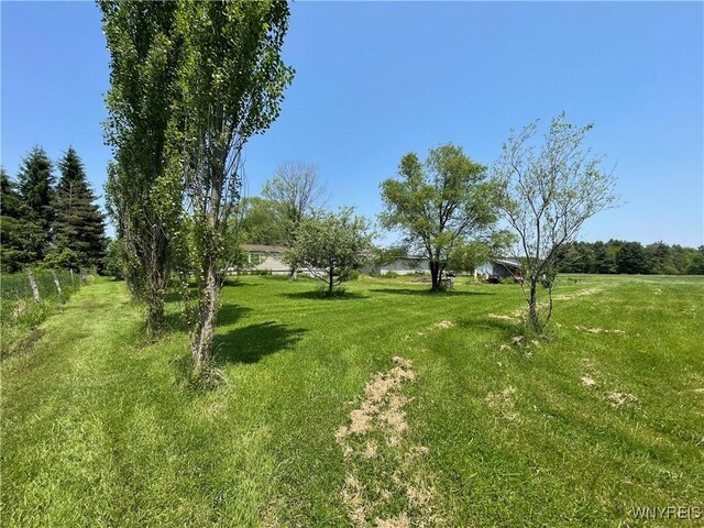 9973 Genesee Rd, Concord, NY 14055 - photo 11