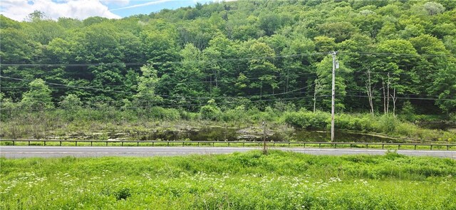 59159 State Highway 30, Roxbury, NY 12474 - photo 12