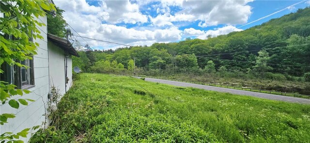 59159 State Highway 30, Roxbury, NY 12474 - photo 9