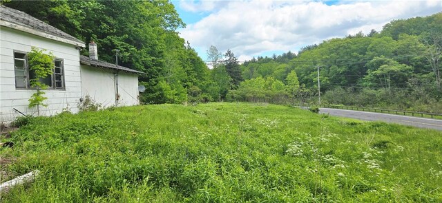 59159 State Highway 30, Roxbury, NY 12474 - photo 10