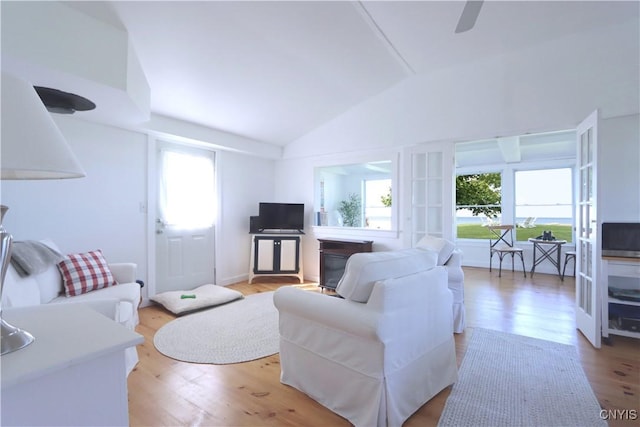 11713 Rays Bay Rd, Henderson, NY 13650 - living room featuring lofted ceiling, plenty of natural light, and light wood-type flooring