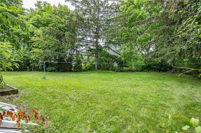77 Chad Cir, Greece, NY 14616 - view of grassy yard