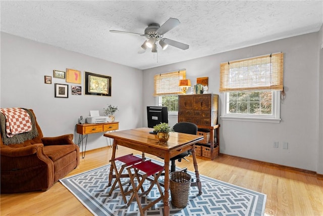 133 Parklands Dr, Greece, NY 14616 - office featuring light wood-style floors, a ceiling fan, and a textured ceiling