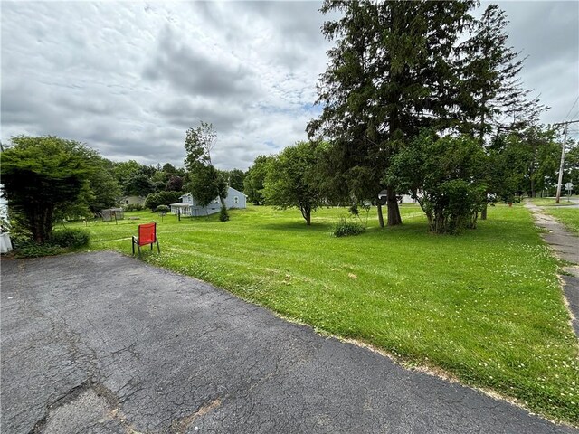 352 Vienna St, Arcadia, NY 14513 - photo 4