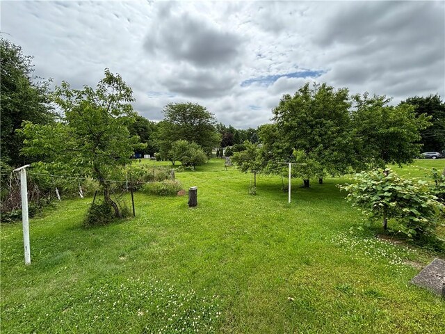 352 Vienna St, Arcadia, NY 14513 - photo 8