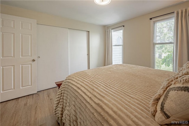 1558 Youngstown Wilson Rd, Porter, NY 14174 - bedroom featuring wood finished floors, multiple windows, and a closet