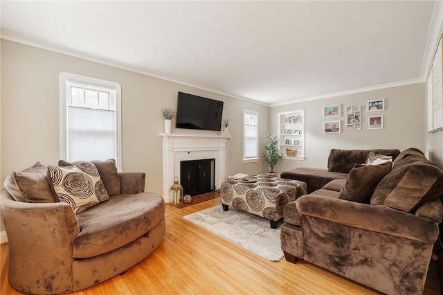25 Kiniry Dr, Irondequoit, NY 14609 - living area with light wood-style floors, ornamental molding, and a fireplace with flush hearth