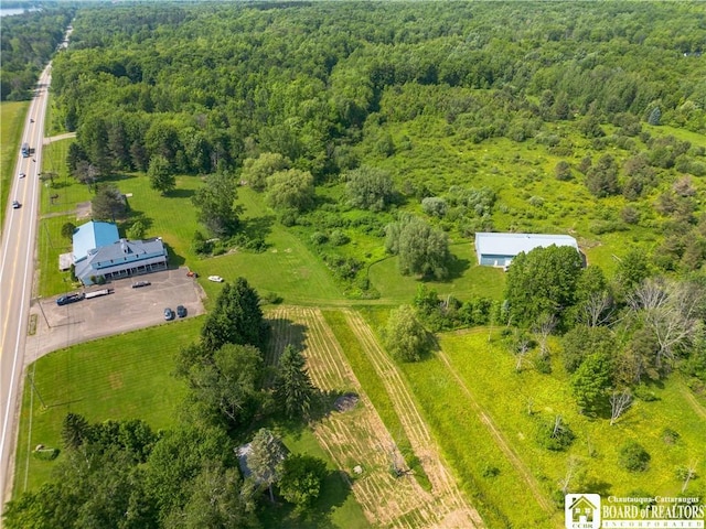 5030 Rte 430, Ellery, NY 14712 - view of rural area featuring a forest