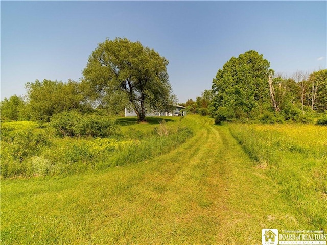 5030 Rte 430, Ellery, NY 14712 - view of undeveloped land