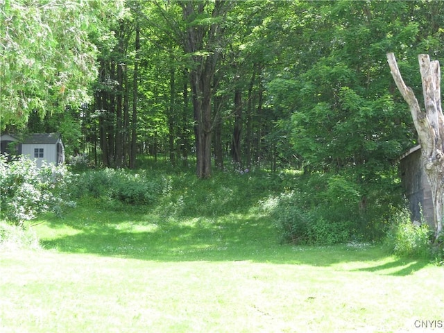 24 Canadarago St, Richfield, NY 13439 - photo 24