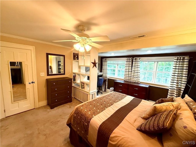 310 Manlius St N, Manlius, NY 13066 - photo 29