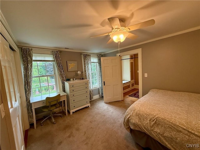 310 Manlius St N, Manlius, NY 13066 - photo 36