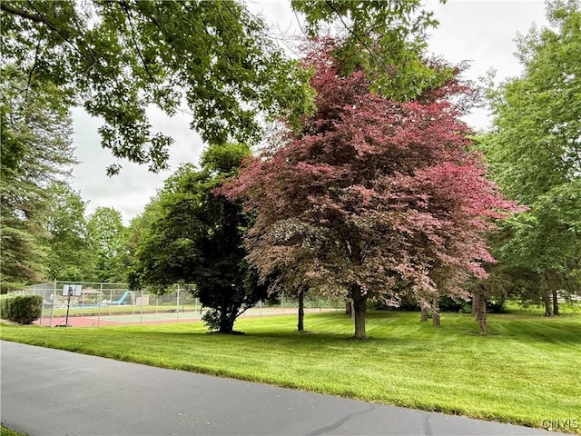 310 Manlius St N, Manlius, NY 13066 - photo 50