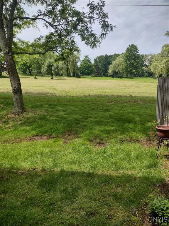 407 Fultz Dr, Oneida-Inside, NY 13421 - view of grassy yard