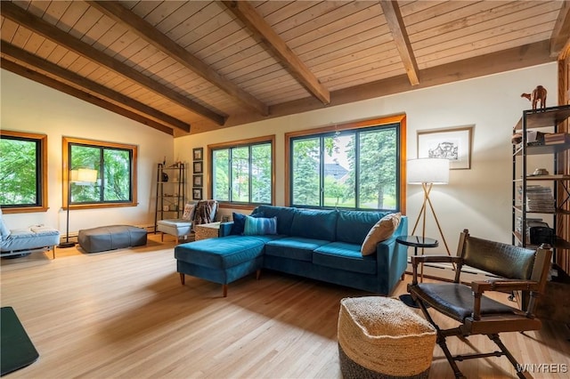 4535 Ransom Rd, Clarence, NY 14031 - living room with wood finished floors, plenty of natural light, and wooden ceiling