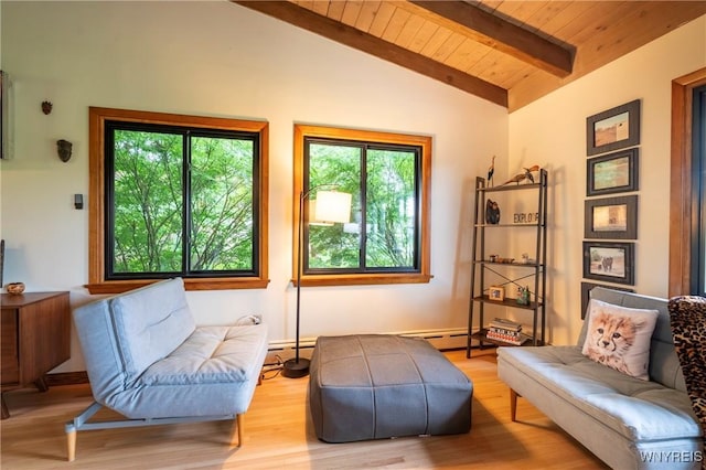 4535 Ransom Rd, Clarence, NY 14031 - living area with healthy amount of natural light, wood finished floors, and wood ceiling
